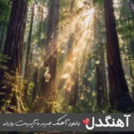 دانلود آهنگ سنی یارادانا قوربان اولوم الله الله اهورا {ریمیکس ترکی اینستا} دانلود آهنگ سنی یارادانا قوربان اولوم الله الله اهورا {ریمیکس ترکی اینستا}
