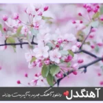 دانلود آهنگ دادی به گا بد منو نیستی حال من بده ریمیکس