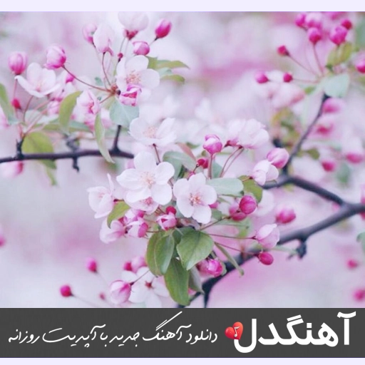 دانلود آهنگ دادی به گا بد منو نیستی حال من بده ریمیکس